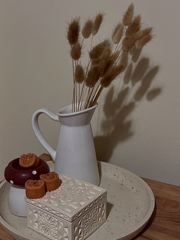 Pumpkin Soy Wax Melts (6 τμχ)